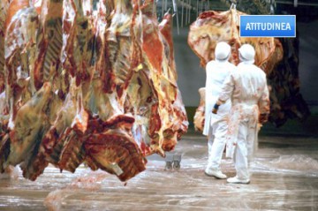 Un depozit din Constanţa era să scoată de vânzare la sărbători carne expirată de... 12 ani!